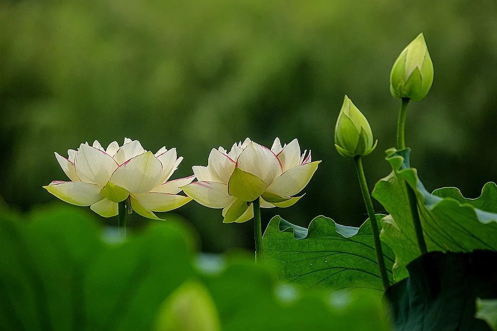 1689560884707 图片